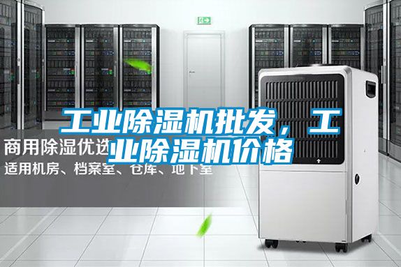 工業(yè)除濕機(jī)批發(fā)，工業(yè)除濕機(jī)價(jià)格