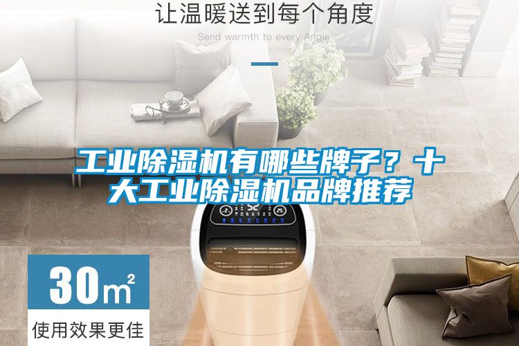 工業(yè)除濕機(jī)有哪些牌子？十大工業(yè)除濕機(jī)品牌推薦