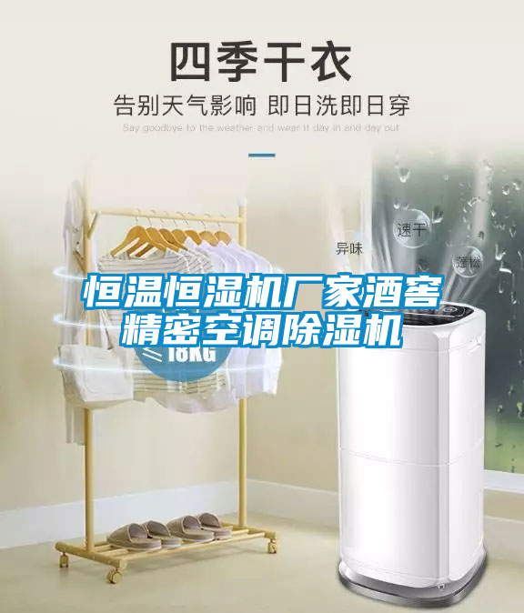 恒溫恒濕機(jī)廠(chǎng)家酒窖精密空調(diào)除濕機(jī)