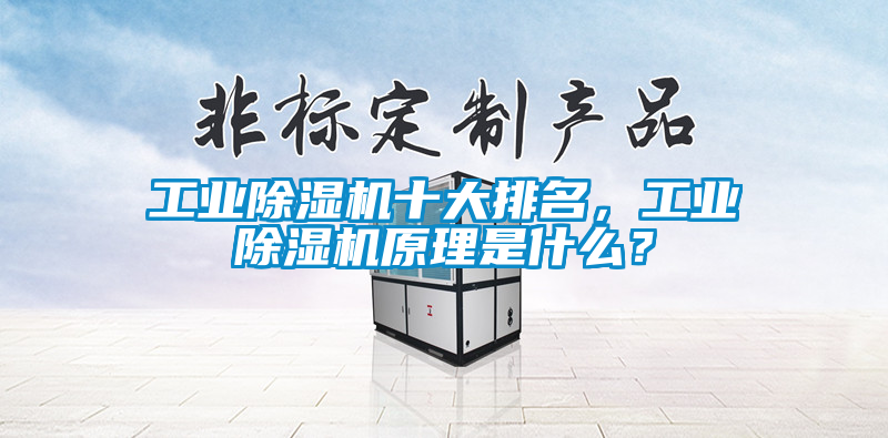 工業(yè)除濕機(jī)十大排名，工業(yè)除濕機(jī)原理是什么？
