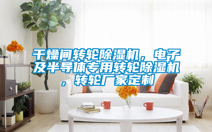 干燥間轉輪除濕機，電子及半導體專用轉輪除濕機，轉輪廠家定制