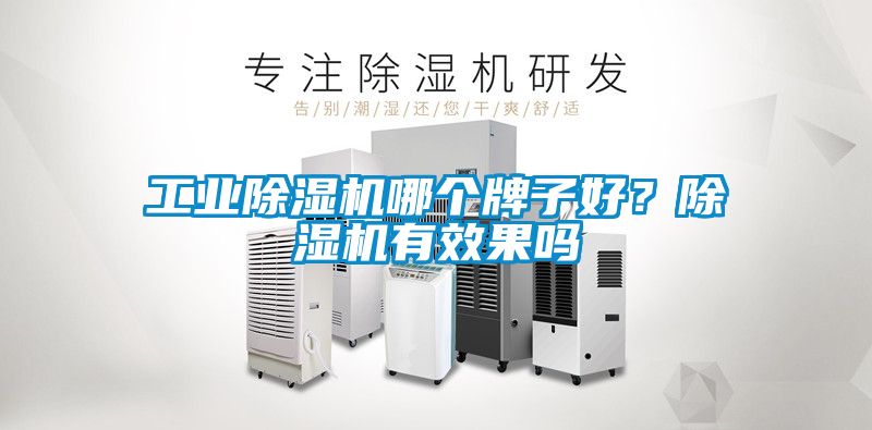 工業(yè)除濕機哪個牌子好？除濕機有效果嗎