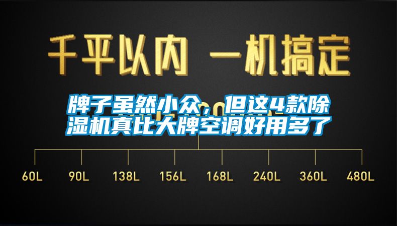 牌子雖然小眾，但這4款除濕機(jī)真比大牌空調(diào)好用多了
