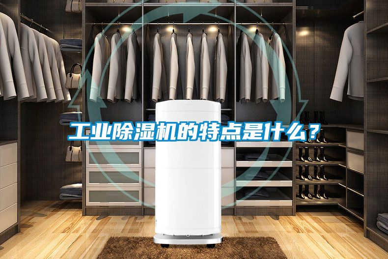 工業(yè)除濕機的特點是什么？