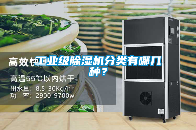 工業(yè)級除濕機分類有哪幾種？