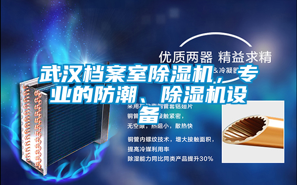 武漢檔案室除濕機，專業(yè)的防潮、除濕機設備