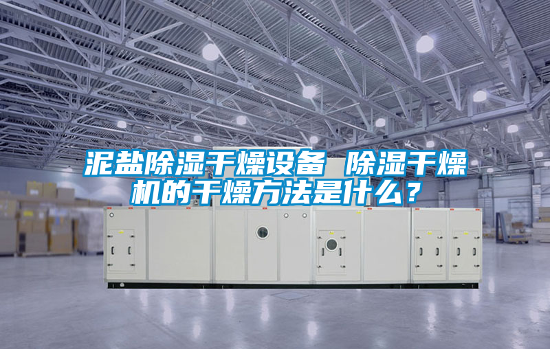 泥鹽除濕干燥設(shè)備 除濕干燥機(jī)的干燥方法是什么？