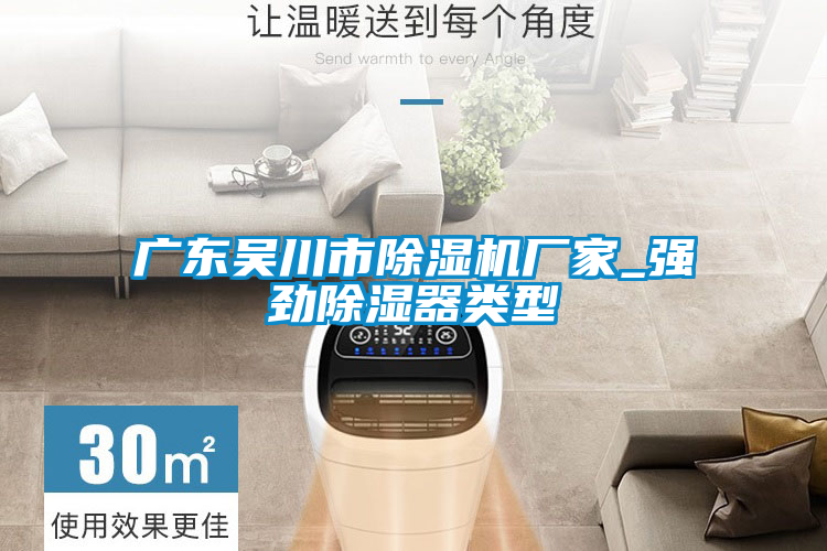 廣東吳川市除濕機(jī)廠(chǎng)家_強(qiáng)勁除濕器類(lèi)型
