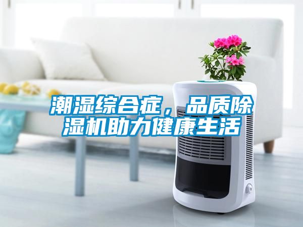 潮濕綜合癥，品質(zhì)除濕機(jī)助力健康生活