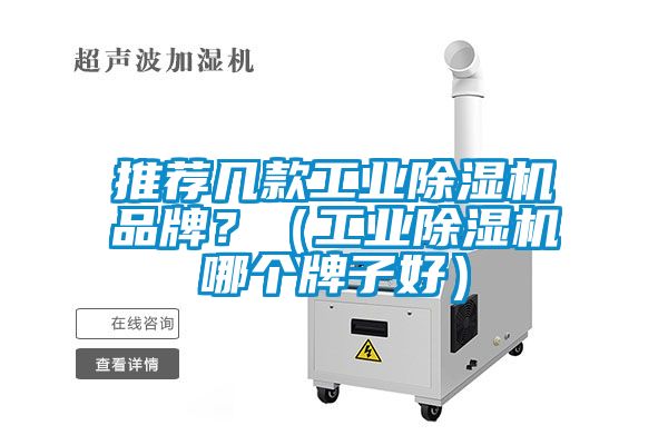 推薦幾款工業(yè)除濕機(jī)品牌？（工業(yè)除濕機(jī)哪個(gè)牌子好）