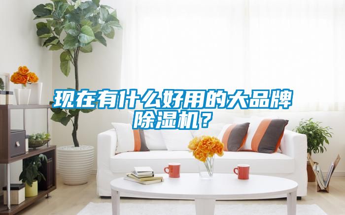 現(xiàn)在有什么好用的大品牌除濕機(jī)？