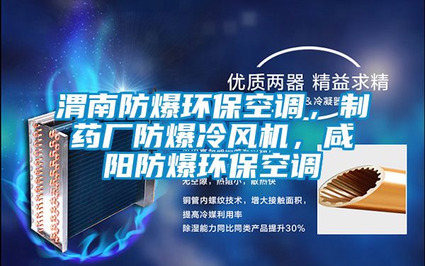 渭南防爆環(huán)?？照{(diào)，制藥廠防爆冷風(fēng)機(jī)，咸陽防爆環(huán)?？照{(diào)