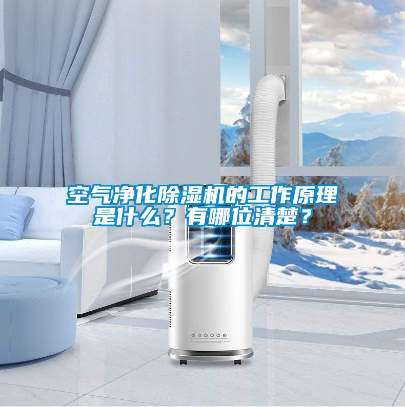 空氣凈化除濕機(jī)的工作原理是什么？有哪位清楚？