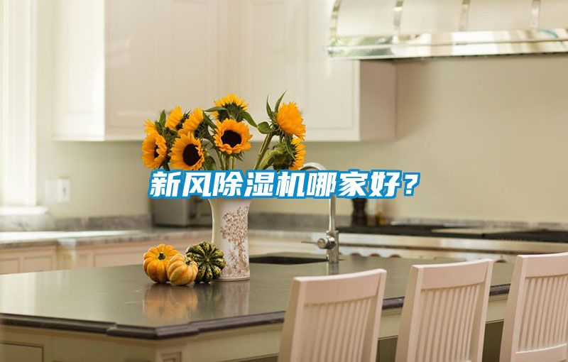 新風(fēng)除濕機(jī)哪家好？