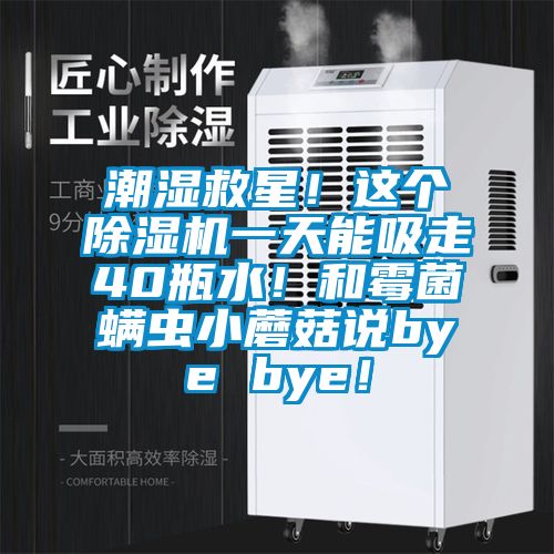 潮濕救星！這個(gè)除濕機(jī)一天能吸走40瓶水！和霉菌螨蟲小蘑菇說(shuō)bye bye！