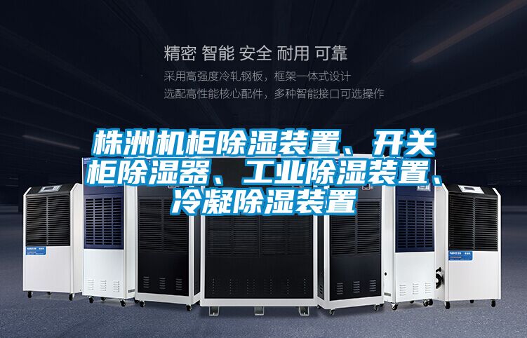株洲機柜除濕裝置、開關(guān)柜除濕器、工業(yè)除濕裝置、冷凝除濕裝置