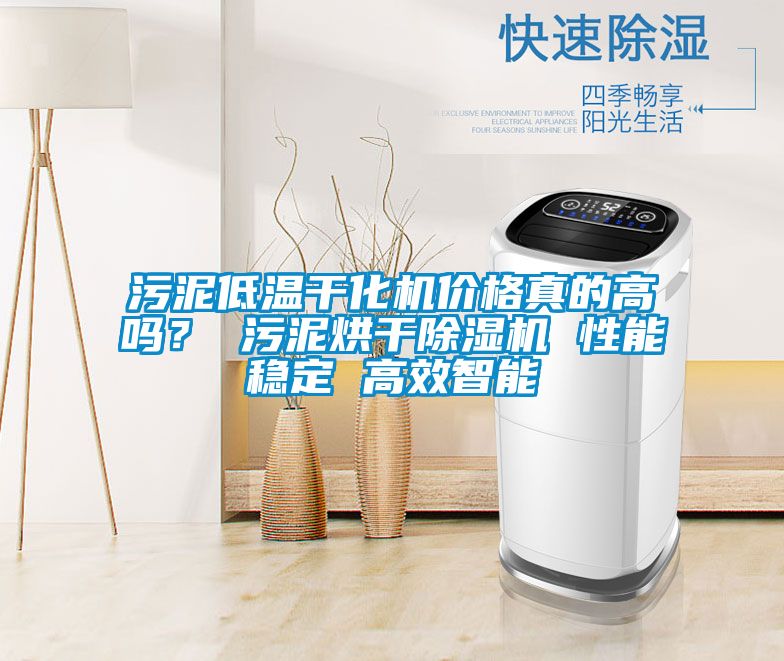 污泥低溫干化機價格真的高嗎？ 污泥烘干除濕機 性能穩(wěn)定 高效智能