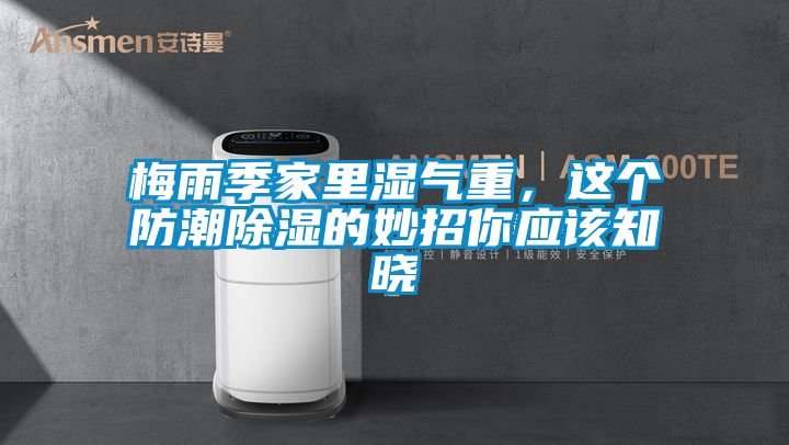 梅雨季家里濕氣重，這個防潮除濕的妙招你應該知曉
