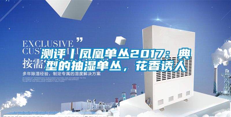測評丨鳳凰單叢2017：典型的抽濕單叢，花香誘人