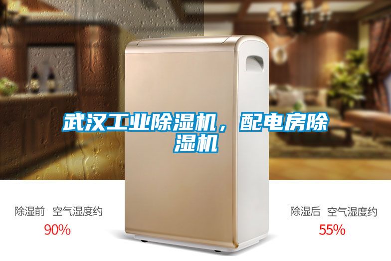 武漢工業(yè)除濕機(jī)，配電房除濕機(jī)
