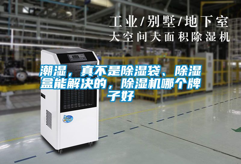 潮濕，真不是除濕袋、除濕盒能解決的，除濕機(jī)哪個(gè)牌子好