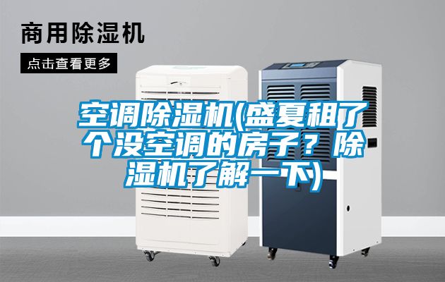 空調(diào)除濕機(jī)(盛夏租了個(gè)沒(méi)空調(diào)的房子？除濕機(jī)了解一下)