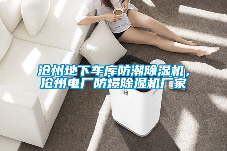 滄州地下車庫(kù)防潮除濕機(jī)，滄州電廠防爆除濕機(jī)廠家
