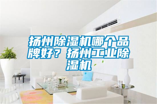 揚(yáng)州除濕機(jī)哪個(gè)品牌好？揚(yáng)州工業(yè)除濕機(jī)
