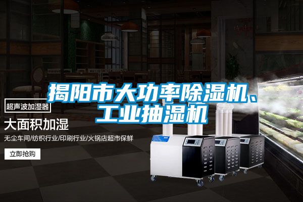 揭陽市大功率除濕機(jī)、工業(yè)抽濕機(jī)