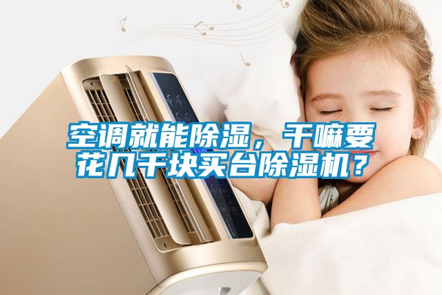 空調(diào)就能除濕，干嘛要花幾千塊買(mǎi)臺(tái)除濕機(jī)？