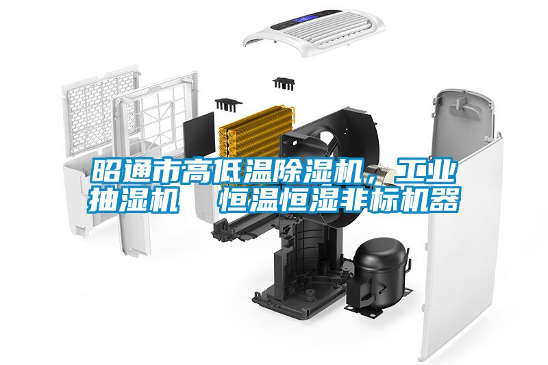 昭通市高低溫除濕機，工業(yè)抽濕機  恒溫恒濕非標機器