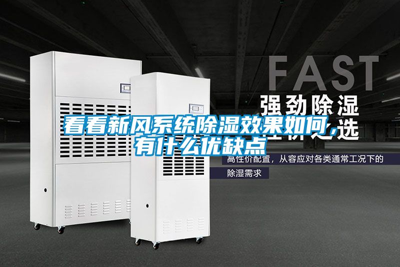 看看新風(fēng)系統(tǒng)除濕效果如何，有什么優(yōu)缺點