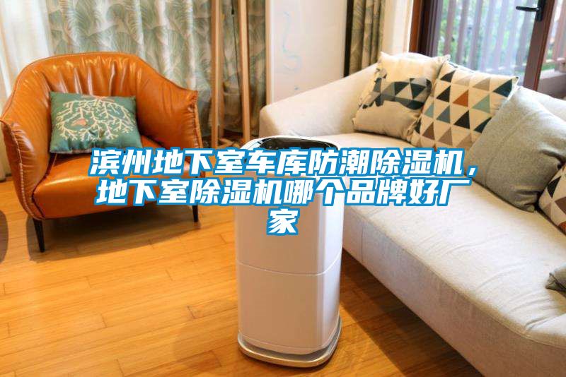 濱州地下室車(chē)庫(kù)防潮除濕機(jī)，地下室除濕機(jī)哪個(gè)品牌好廠家
