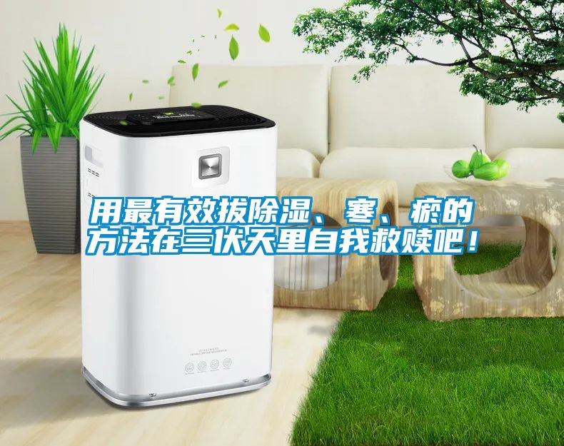 用最有效拔除濕、寒、瘀的方法在三伏天里自我救贖吧！