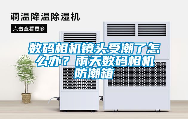 數(shù)碼相機(jī)鏡頭受潮了怎么辦？雨天數(shù)碼相機(jī)防潮箱