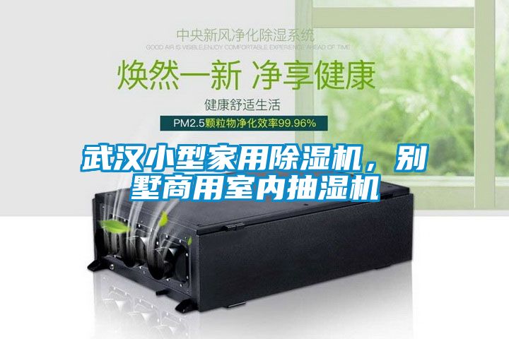 武漢小型家用除濕機(jī)，別墅商用室內(nèi)抽濕機(jī)