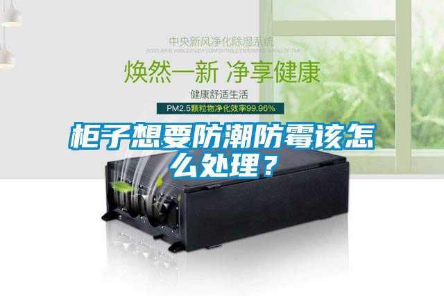 柜子想要防潮防霉該怎么處理？