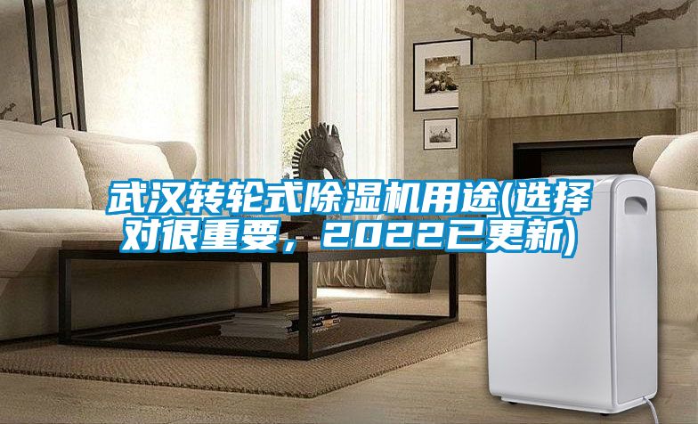 武漢轉(zhuǎn)輪式除濕機(jī)用途(選擇對(duì)很重要，2022已更新)