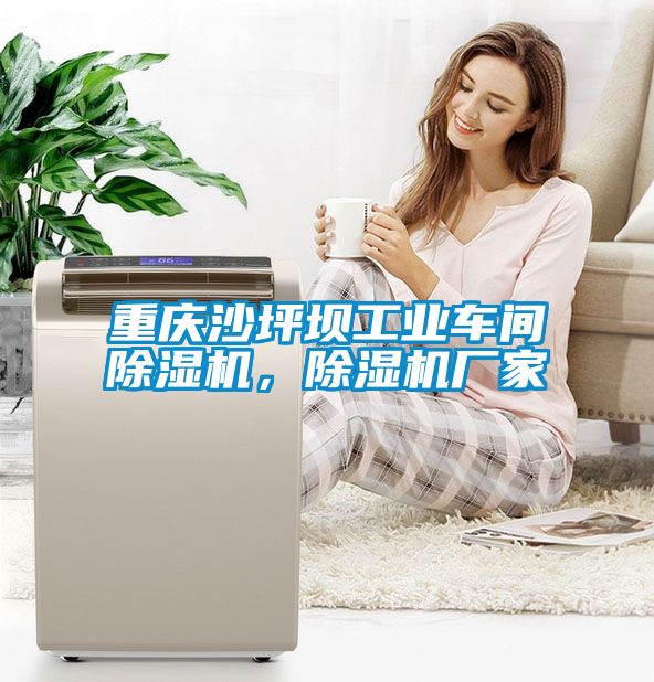 重慶沙坪壩工業(yè)車間除濕機，除濕機廠家