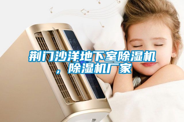 荊門沙洋地下室除濕機(jī)，除濕機(jī)廠家