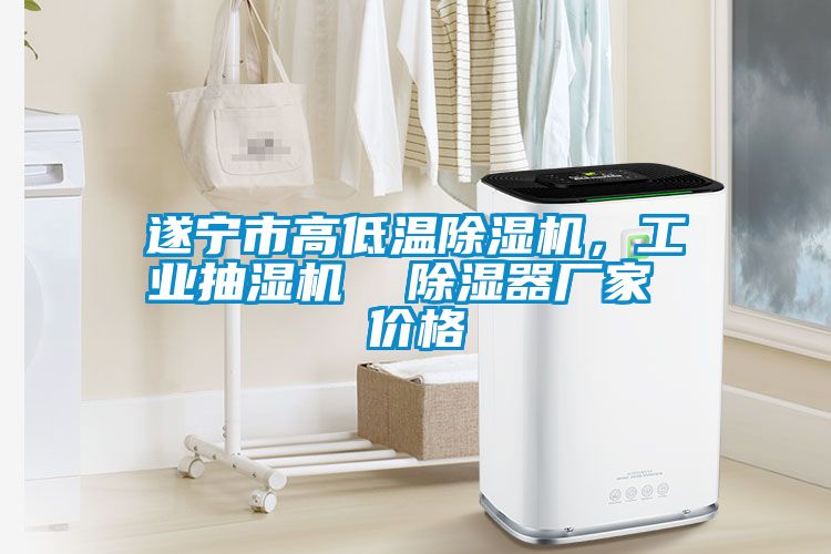 遂寧市高低溫除濕機(jī)，工業(yè)抽濕機(jī)  除濕器廠家 價(jià)格
