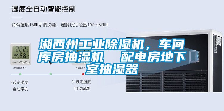 湘西州工業(yè)除濕機，車間庫房抽濕機  配電房地下室抽濕器