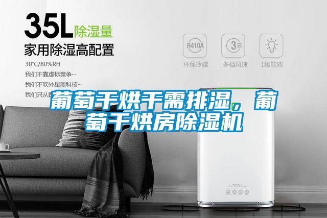 葡萄干烘干需排濕，葡萄干烘房除濕機(jī)