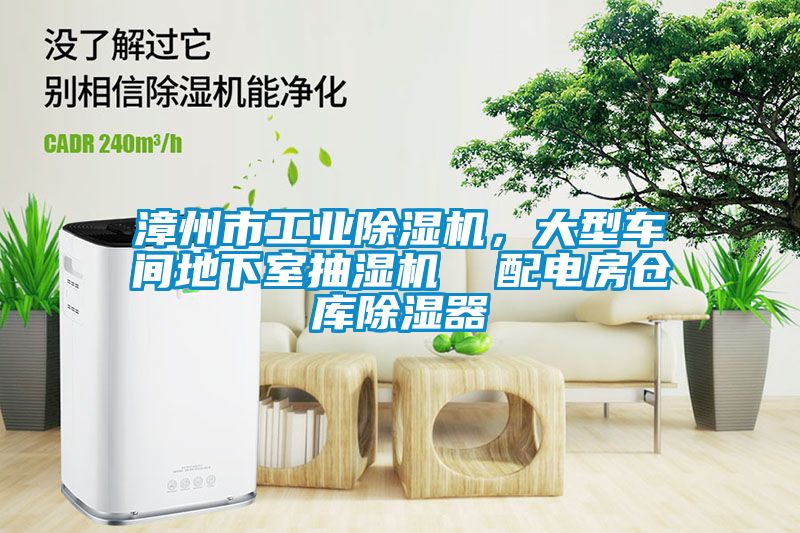 漳州市工業(yè)除濕機(jī)，大型車間地下室抽濕機(jī)  配電房倉(cāng)庫(kù)除濕器