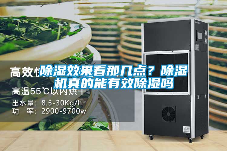 除濕效果看那幾點？除濕機真的能有效除濕嗎