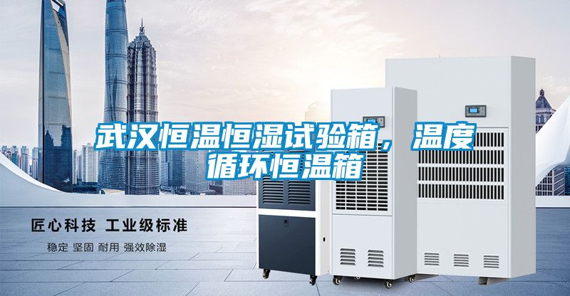 武漢恒溫恒濕試驗(yàn)箱，溫度循環(huán)恒溫箱