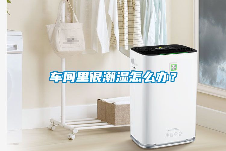 車間里很潮濕怎么辦？
