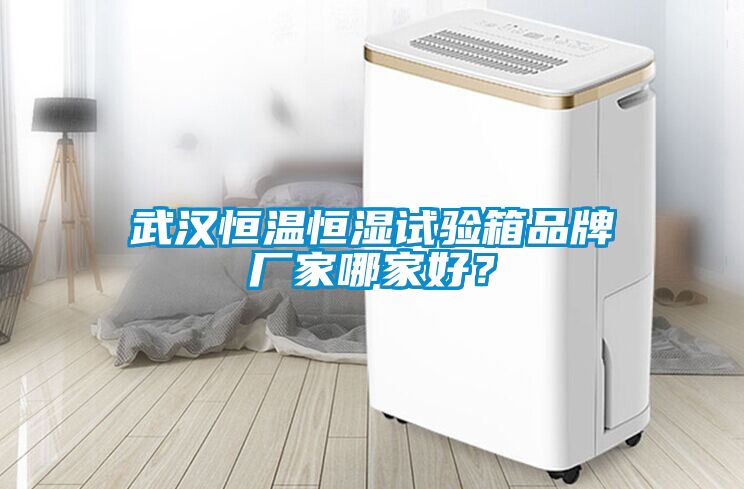 武漢恒溫恒濕試驗(yàn)箱品牌廠家哪家好？