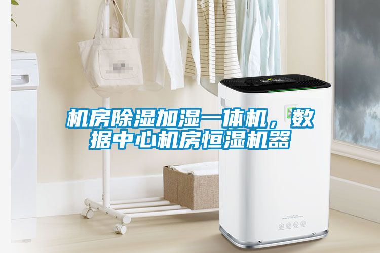 機(jī)房除濕加濕一體機(jī)，數(shù)據(jù)中心機(jī)房恒濕機(jī)器