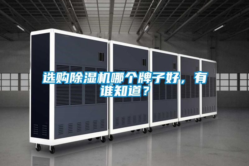選購除濕機(jī)哪個(gè)牌子好，有誰知道？